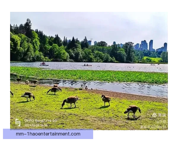 2026世界杯温哥华赛区将启用可拆卸天然草坪系统提升赛事体验