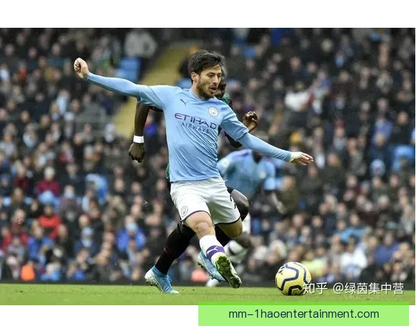 丹索转会罗马体检未通过留队继续效力球迷期待其表现